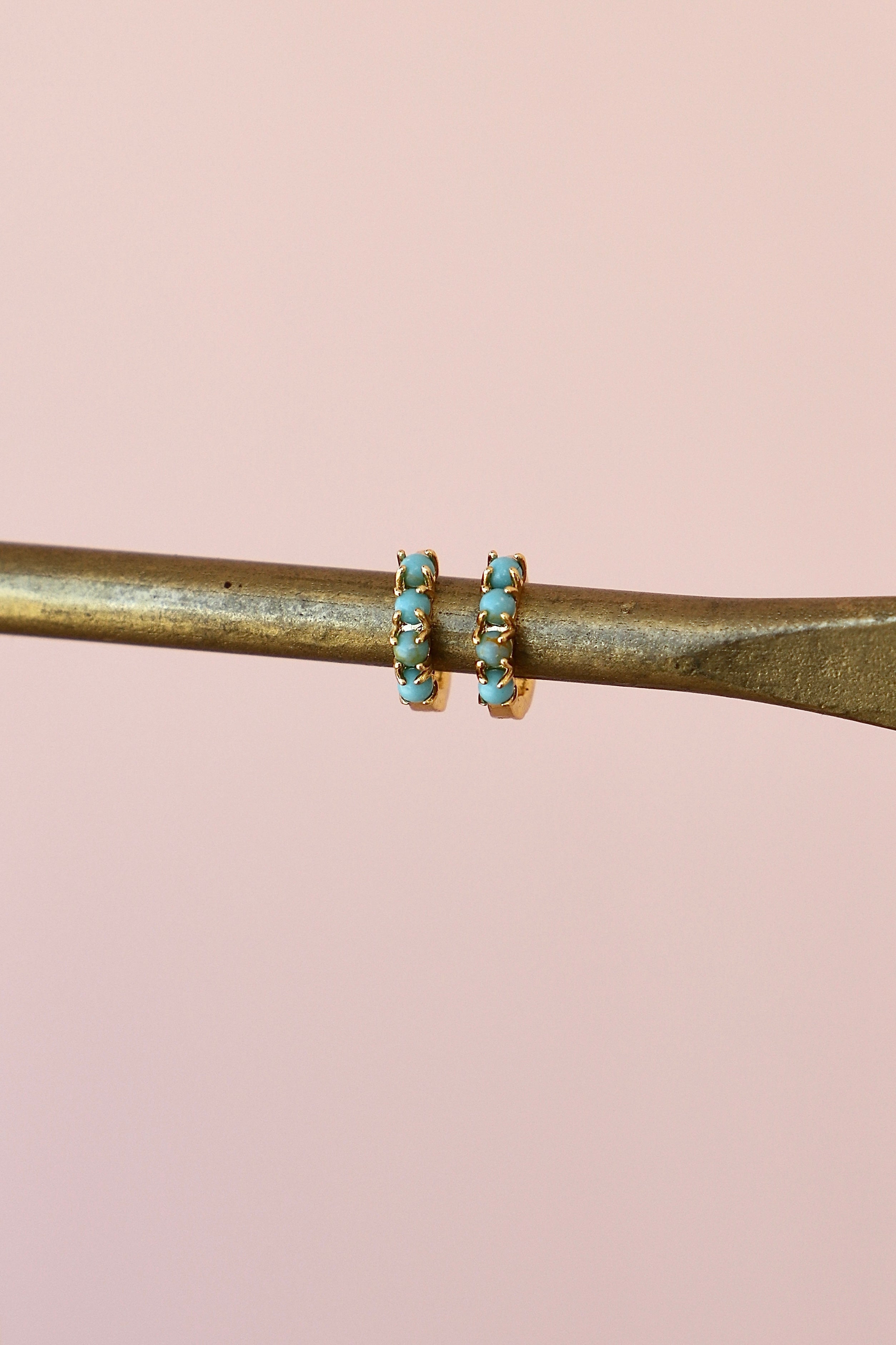 Turquoise hoop earrings on a branch with a pink background