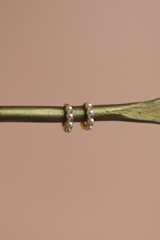 Gold hoop earrings with pearls on a branch against a beige background