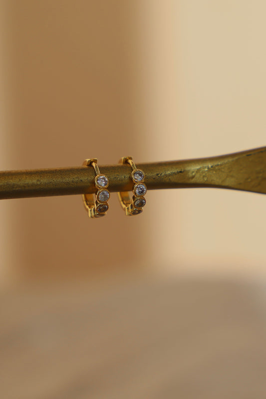 Gold hoop earrings with small stones on a branch against a beige background