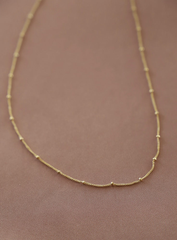 Katie Waltman Coin Charm Necklace