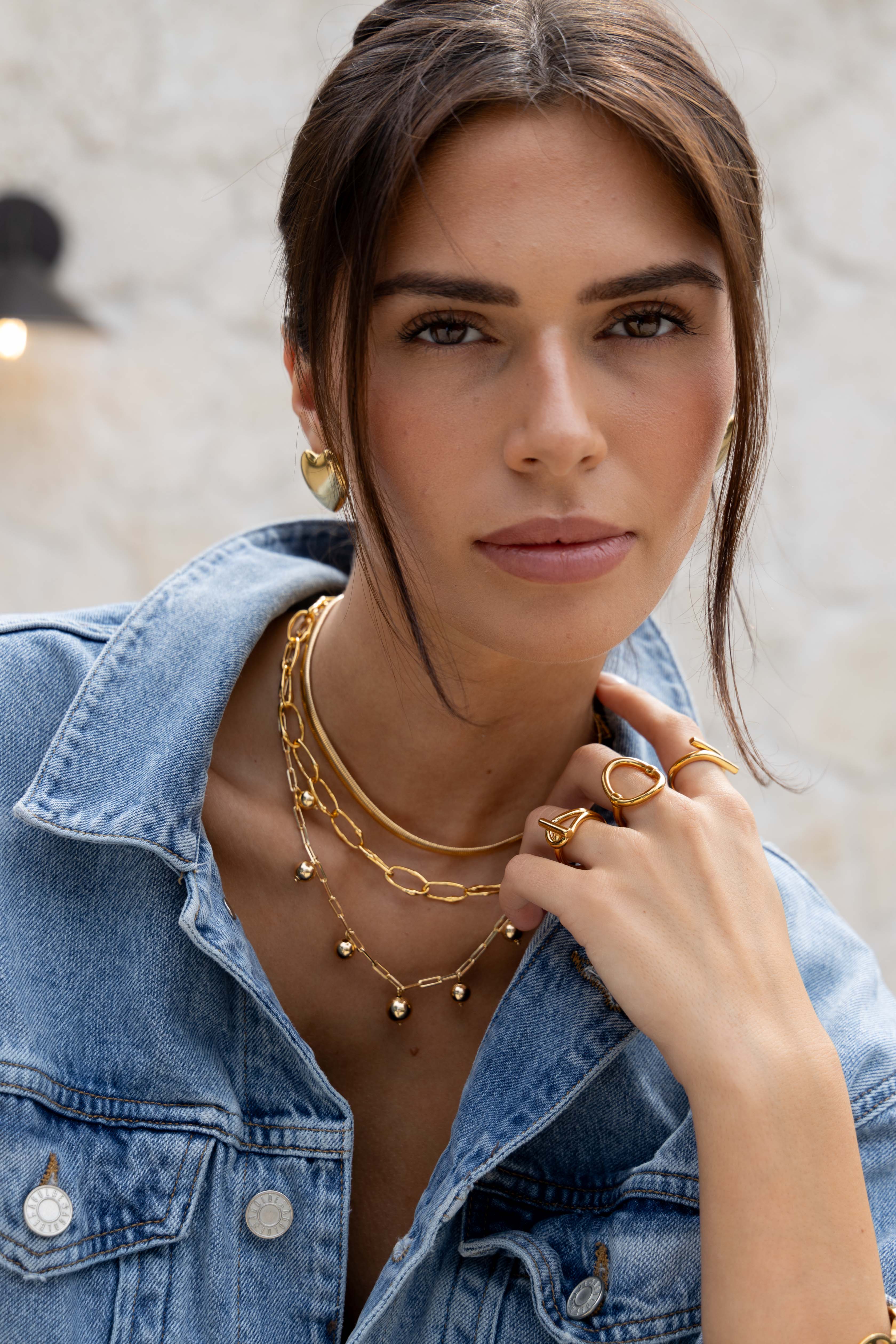 Bentley Link Necklace