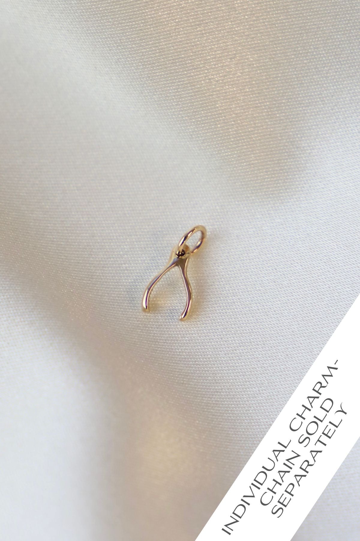 Gold wishbone charm on a light fabric background with text indicating it's an individual charm sold separately.