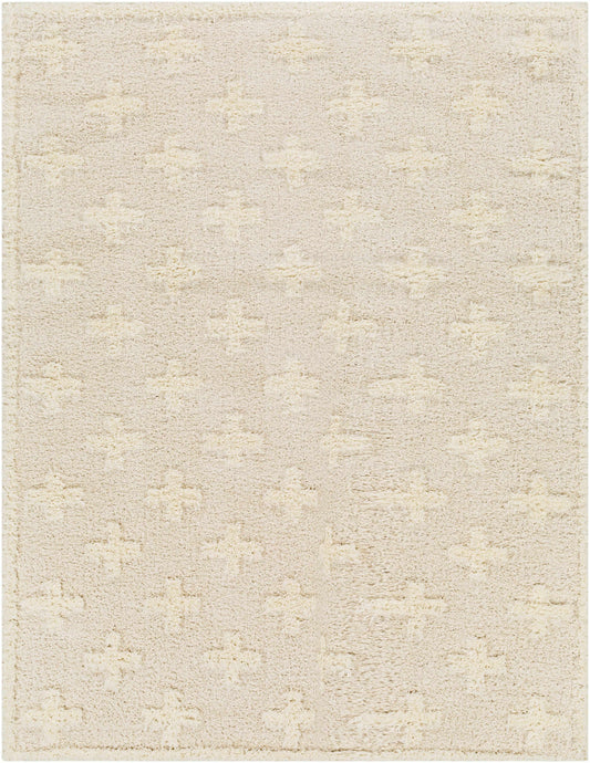 Beige area rug with a subtle pattern on a plain background